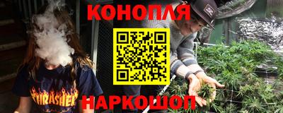 ешки Дубна