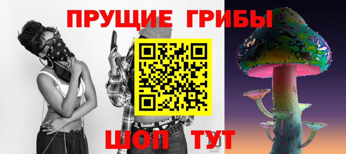 Псилоцибиновые грибы Cubensis  Галлюциногенные грибы Cubensis  Малоярославец  Вход с VPN 